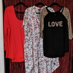 2x/3x blouse bundle